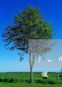 網(wǎng)商貸兩萬逾期五天了，該如何處理？逾期后果嚴(yán)重嗎？